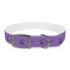Lost Canyon Logo Dog Collar - Image 19