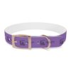 Lost Canyon Logo Dog Collar - Image 22