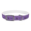 Lost Canyon Logo Dog Collar