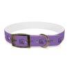 Lost Canyon Logo Dog Collar - Image 25