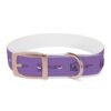 Lost Canyon Logo Dog Collar - Image 13