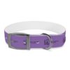 Lost Canyon Logo Dog Collar - Image 10